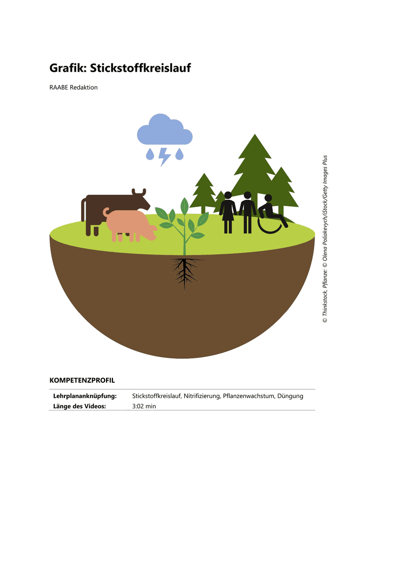 Grafik: Grundlagen des Stickstoffkreislaufs
