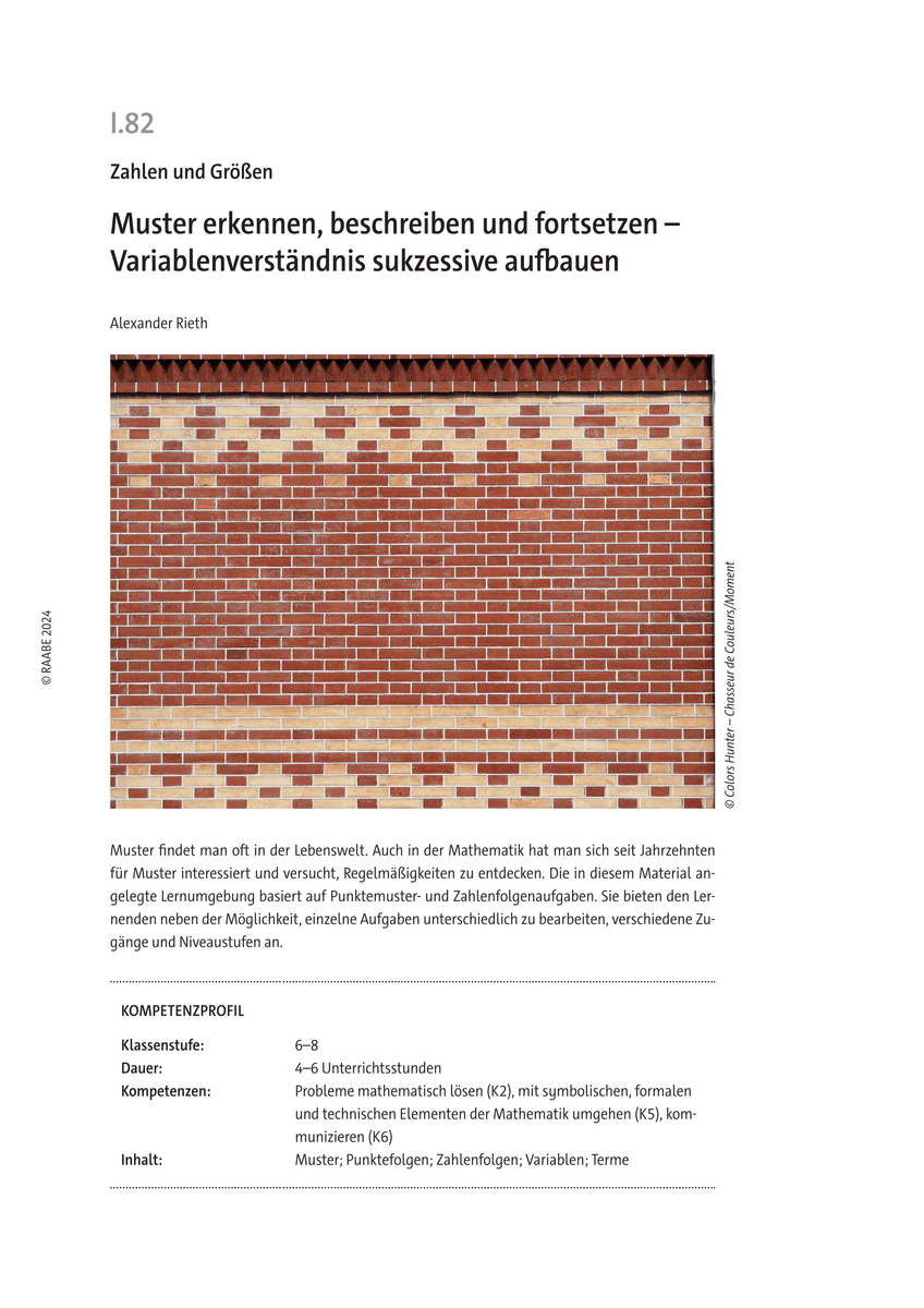 Muster erkennen, beschreiben und fortsetzen