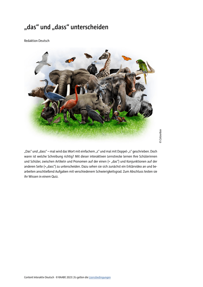 „das“ und „dass“ unterscheiden