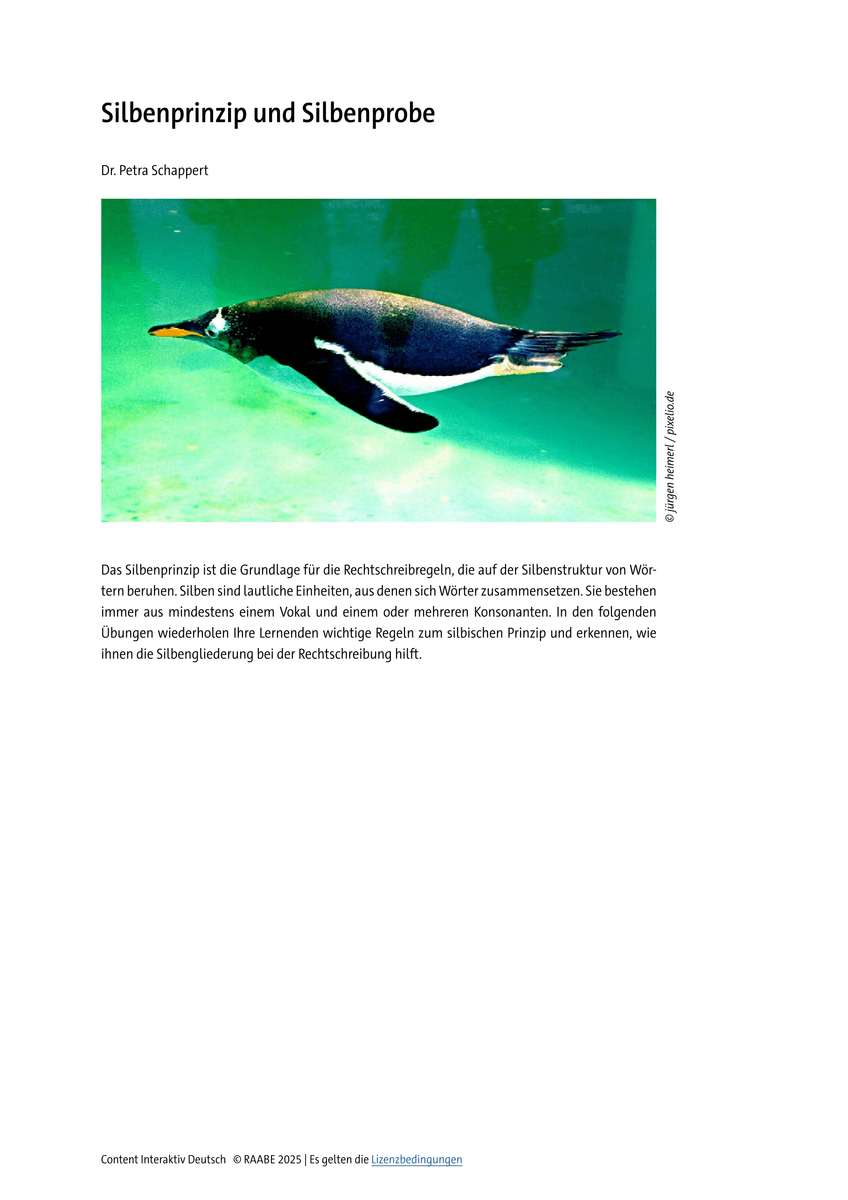 Silbenprinzip und Silbenprobe