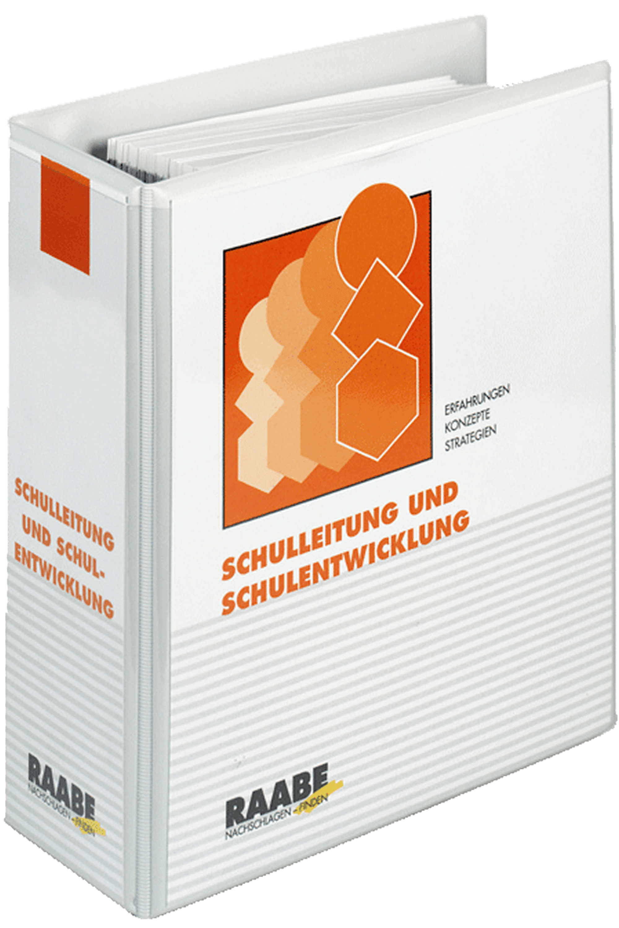 Schulleitung und Schulentwicklung