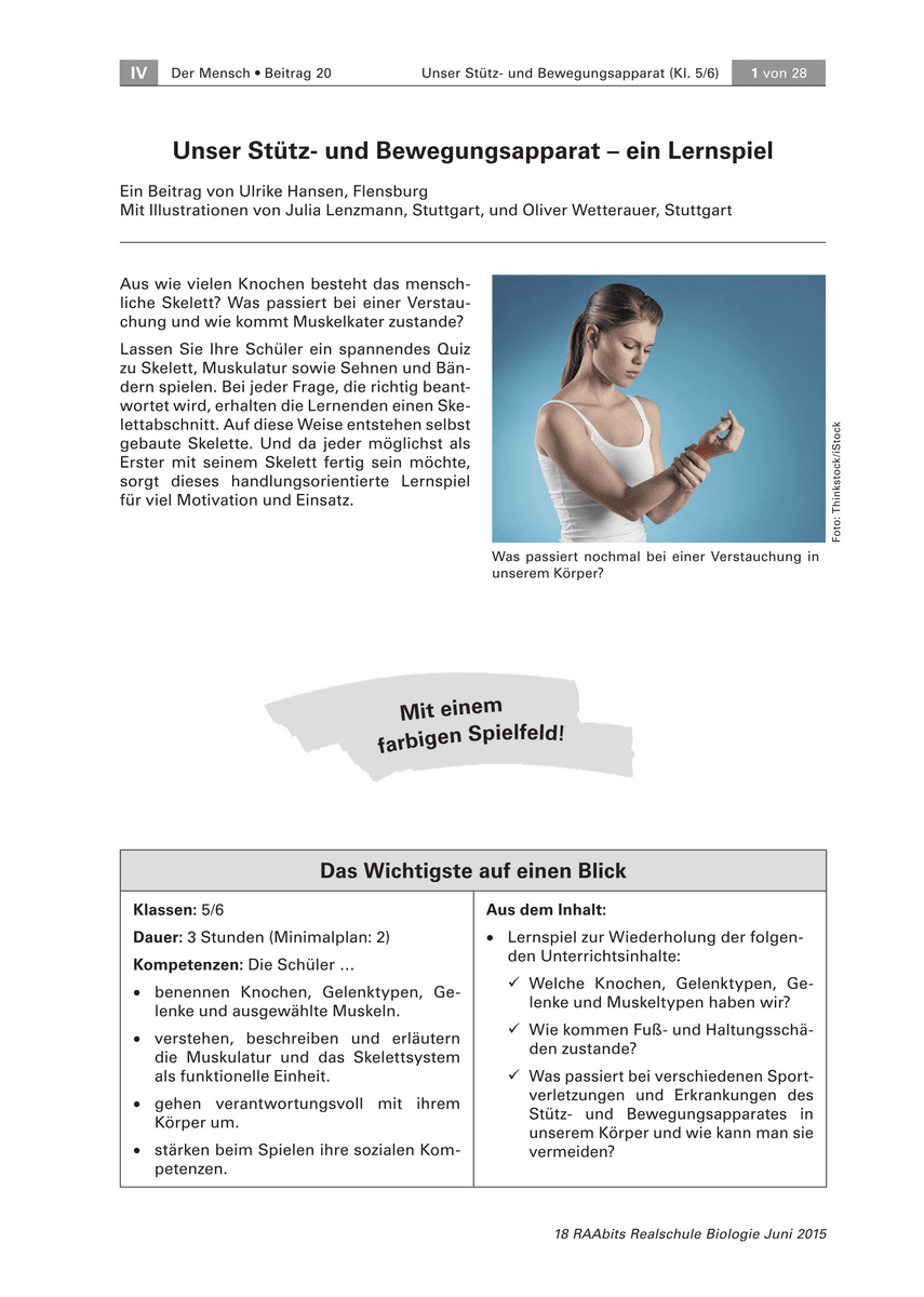 Unser Stütz- und Bewegungsapparat