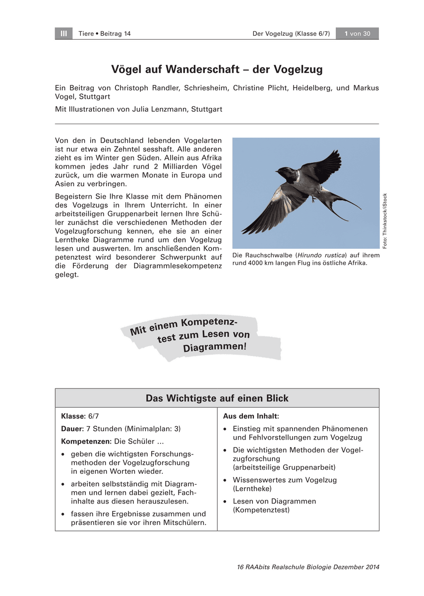 Vögel auf Wanderschaft