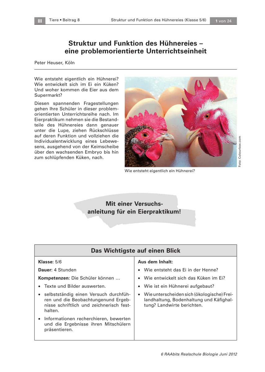 Struktur und Funktion des Hühnereies