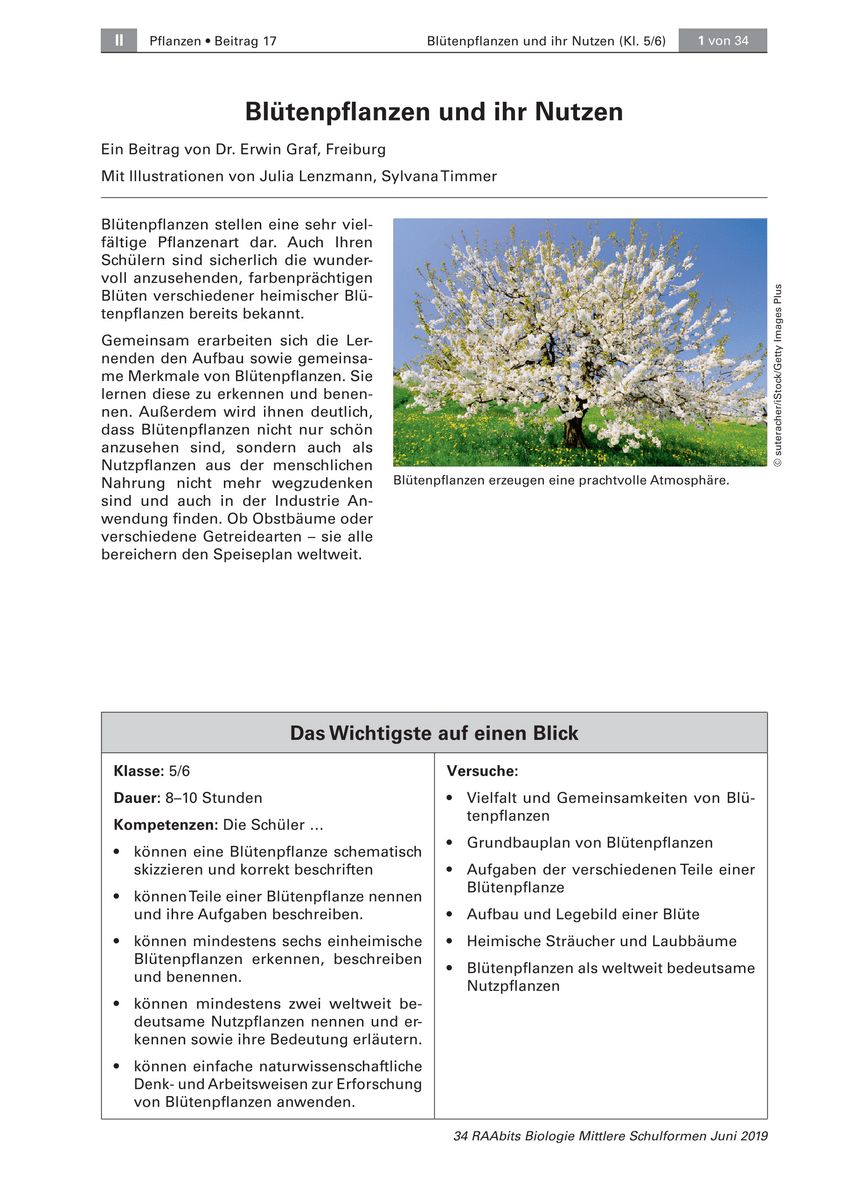 Blütenpflanzen und ihr Nutzen