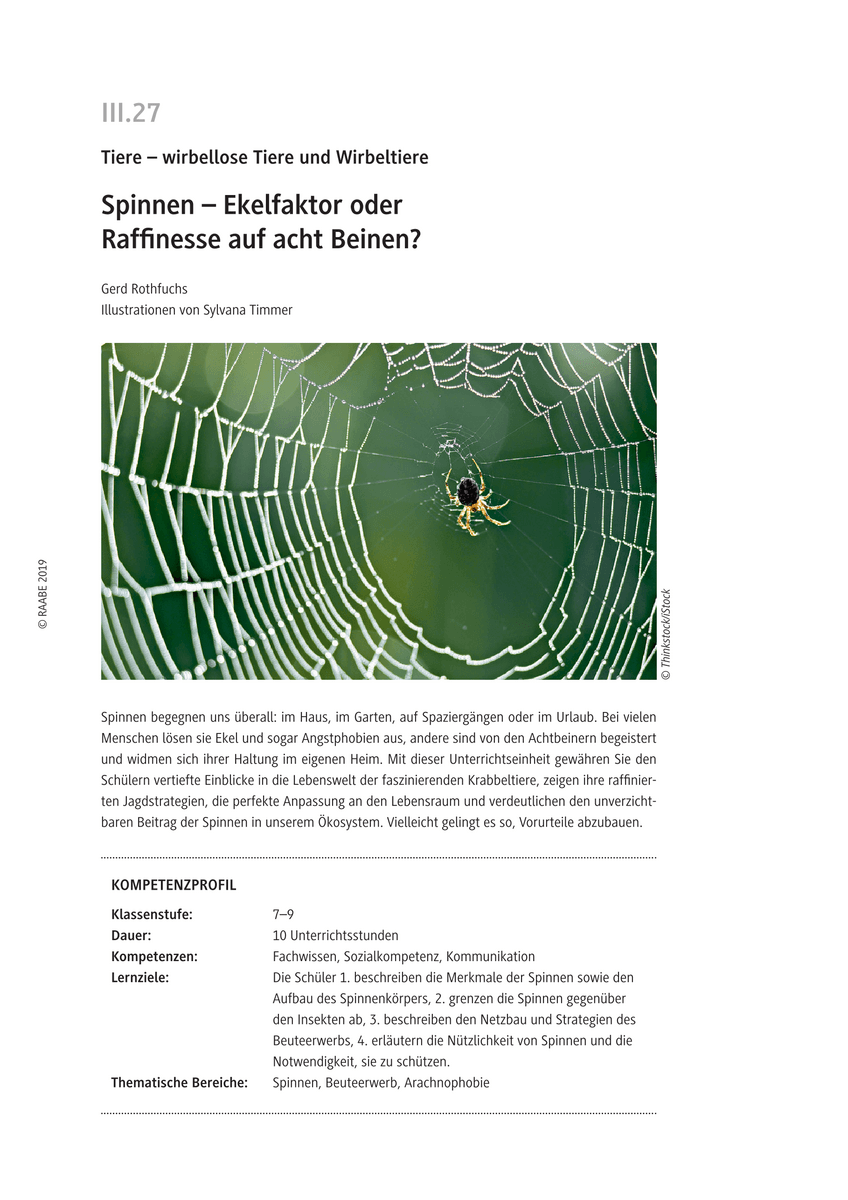 Spinnen