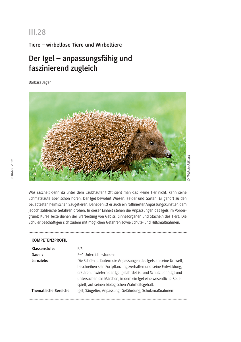 Der Igel