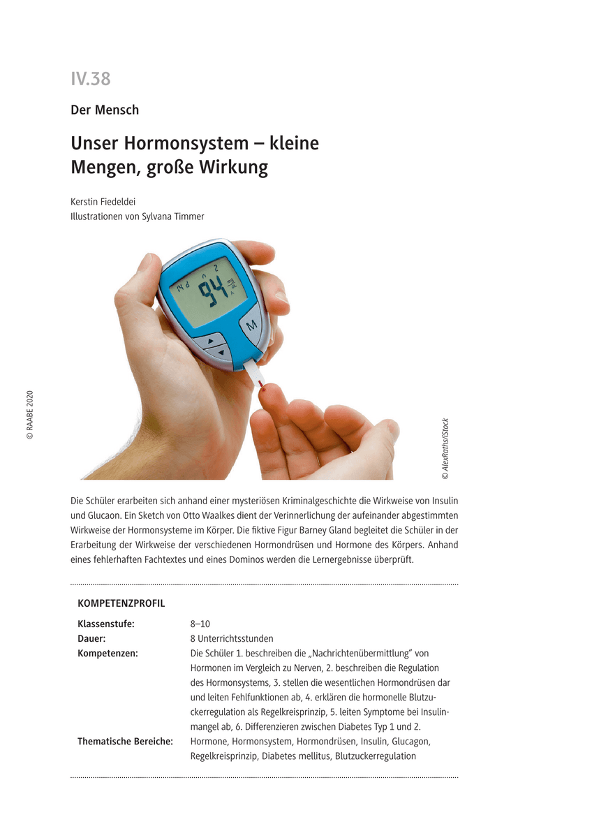 Unser Hormonsystem