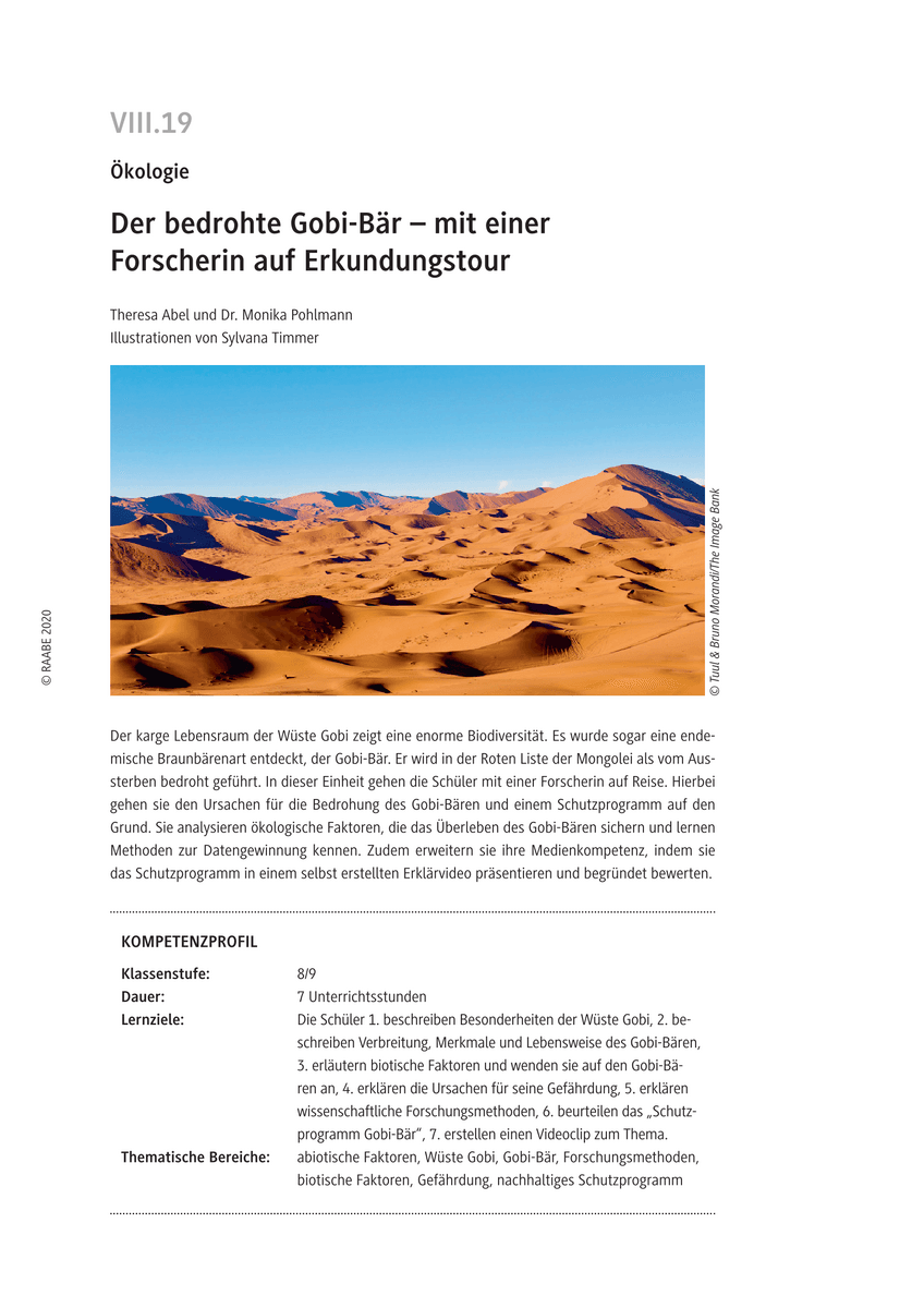Der bedrohte Gobi-Bär