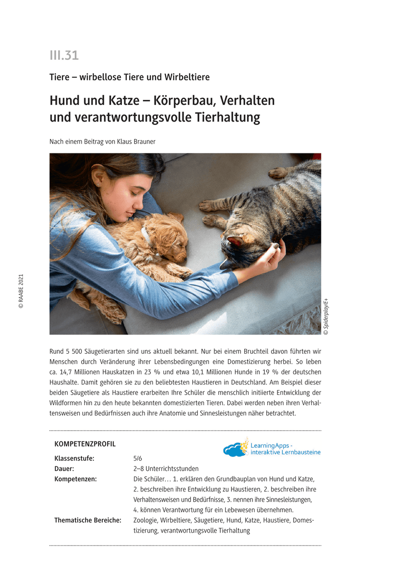 Hund und Katze