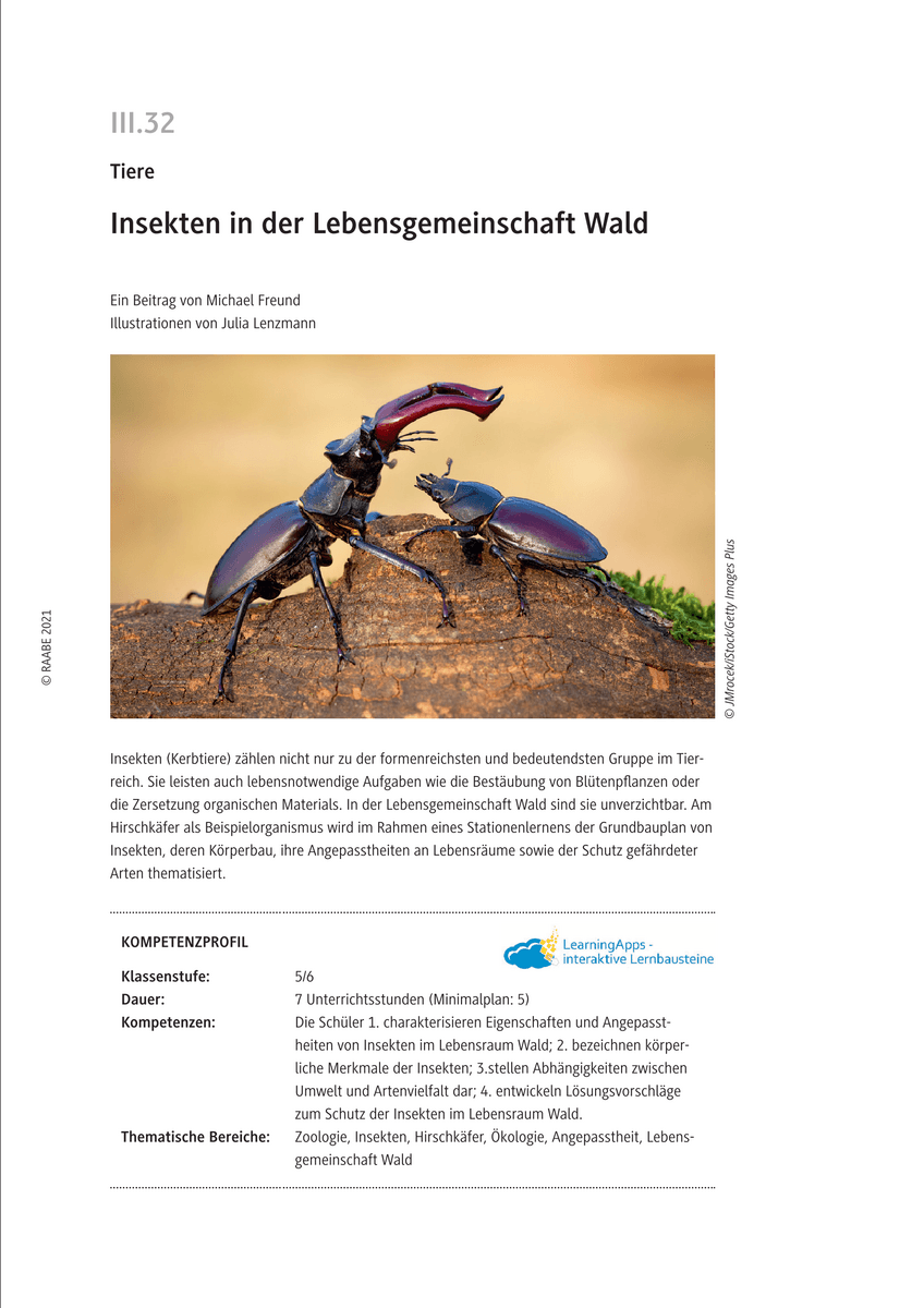Insekten in der Lebensgemeinschaft Wald