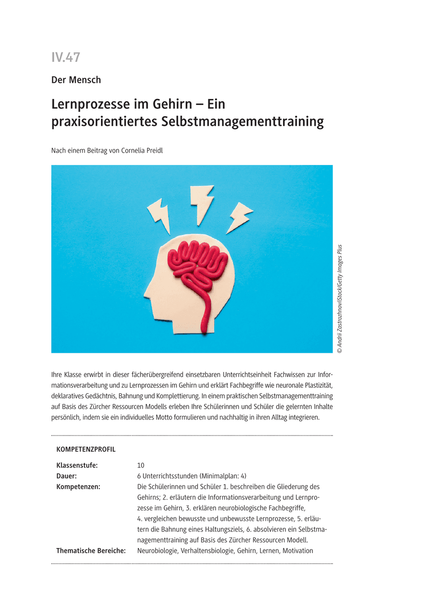 Lernprozesse im Gehirn