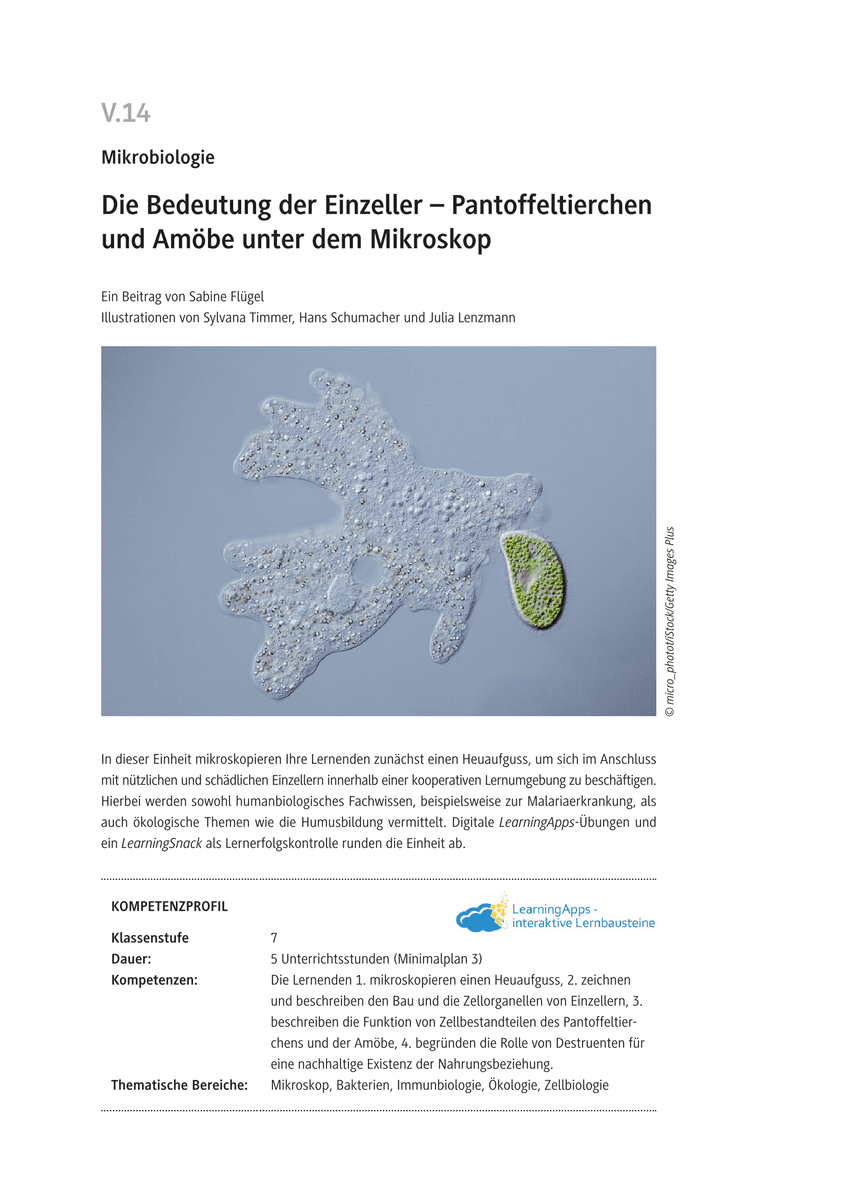 Die Bedeutung der Einzeller