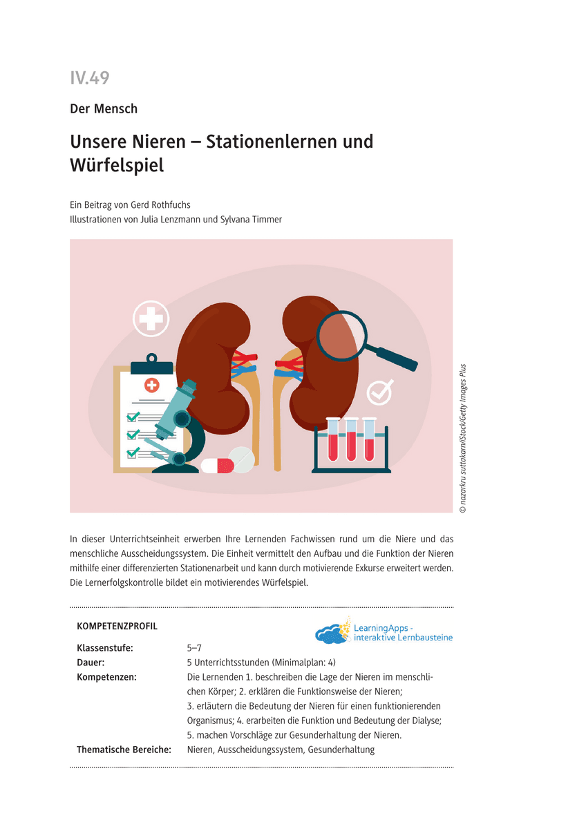 Unsere Nieren
