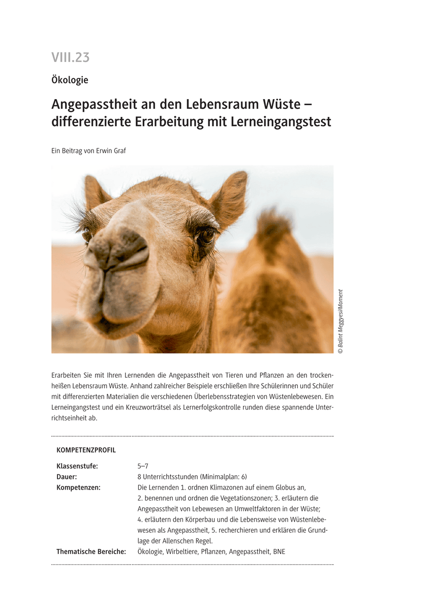 Angepasstheit an den Lebensraum Wüste