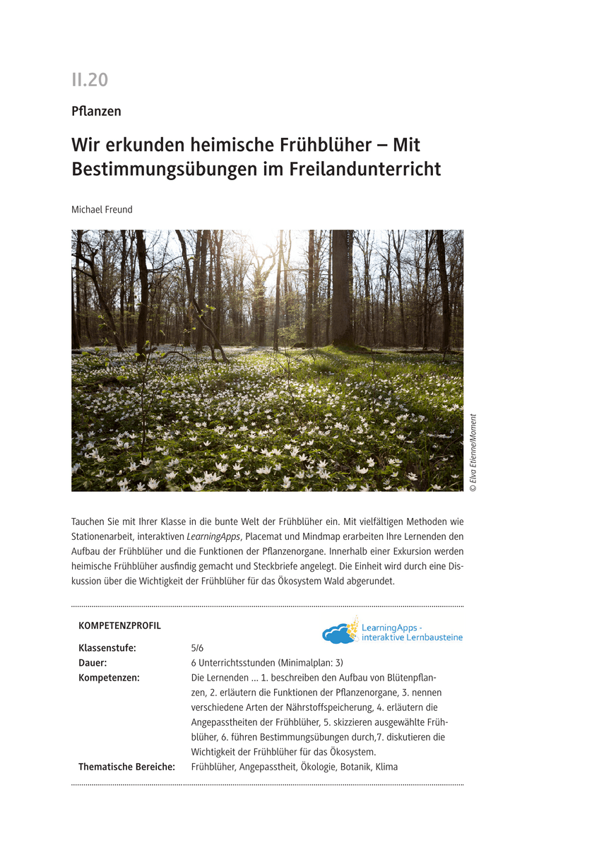 Wir erkunden heimische Frühblüher