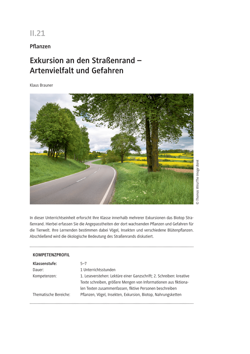 Exkursion an den Straßenrand
