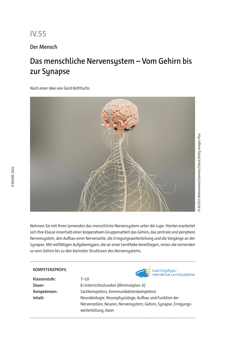Das menschliche Nervensystem