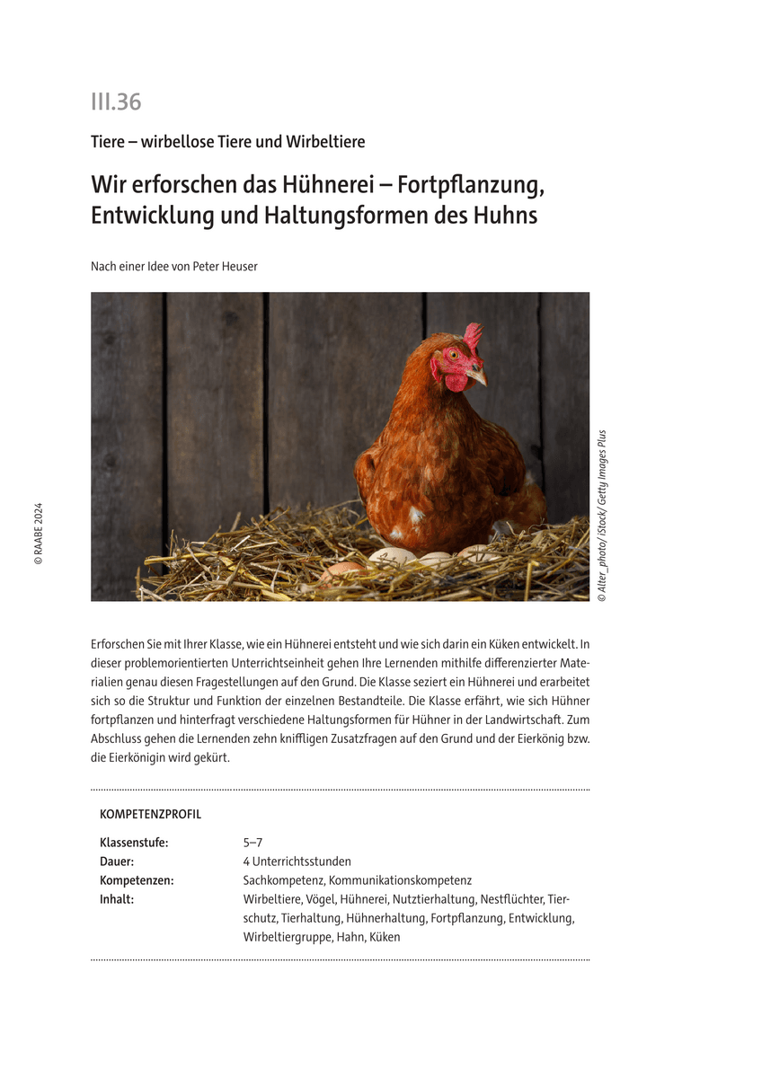 Wir erforschen das Hühnerei