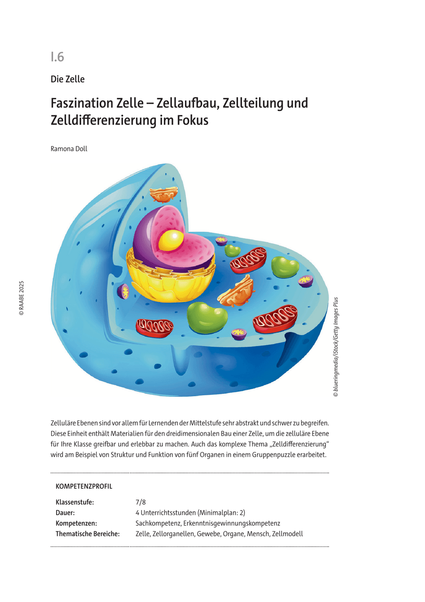 Faszination Zelle