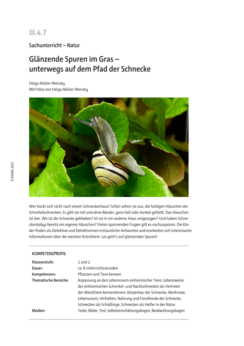 Glänzende Spuren im Gras