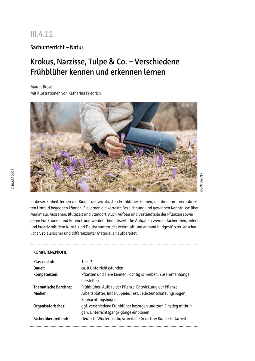 Krokus, Narzisse, Tulpe & Co.