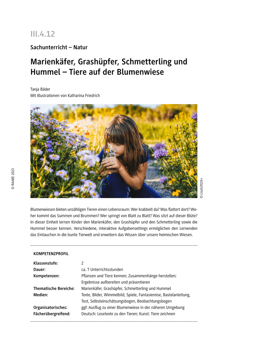 Marienkäfer, Grashüpfer, Schmetterling und Hummel