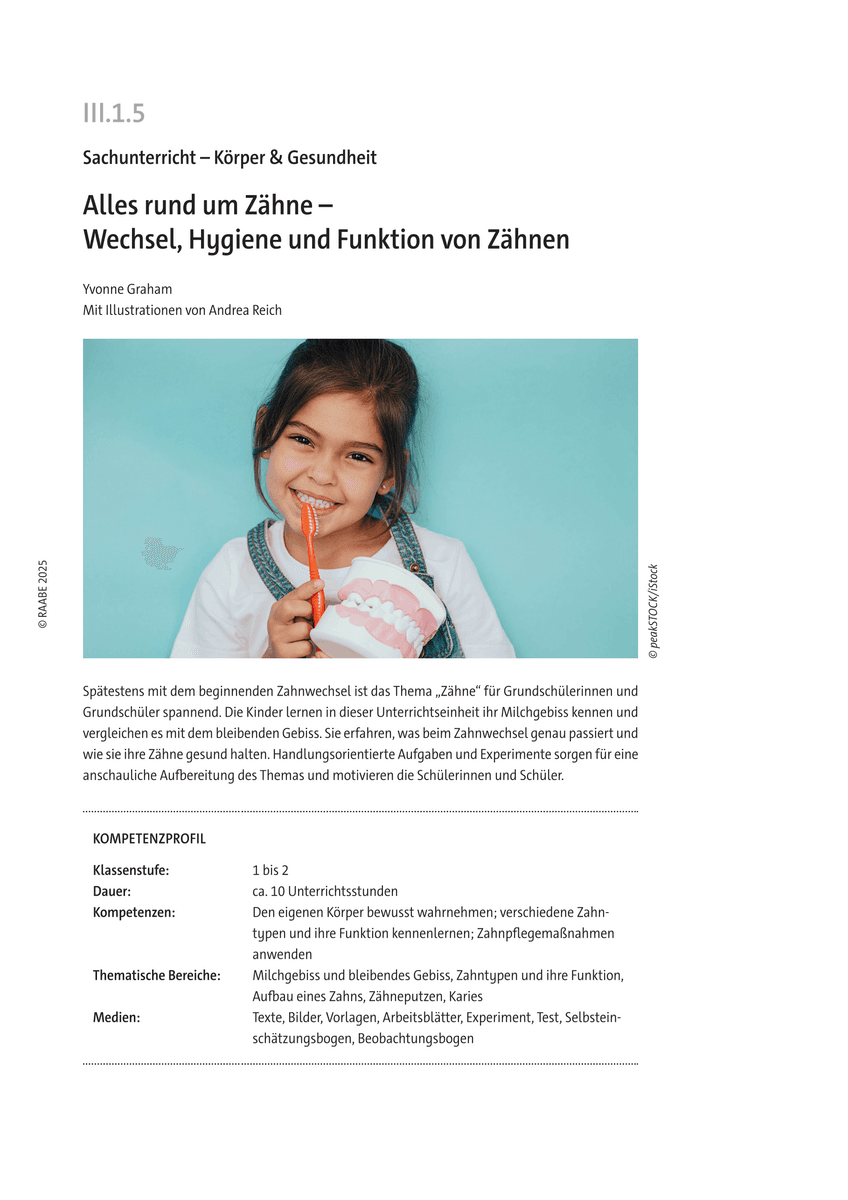 Alles rund um Zähne