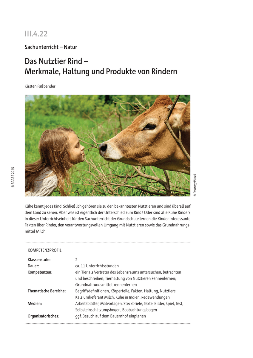 Das Nutztier Rind