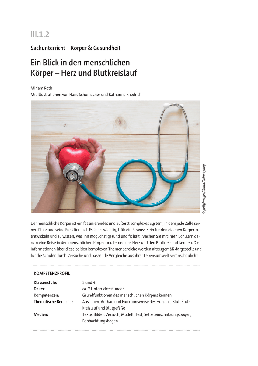 Ein Blick in den menschlichen Körper
