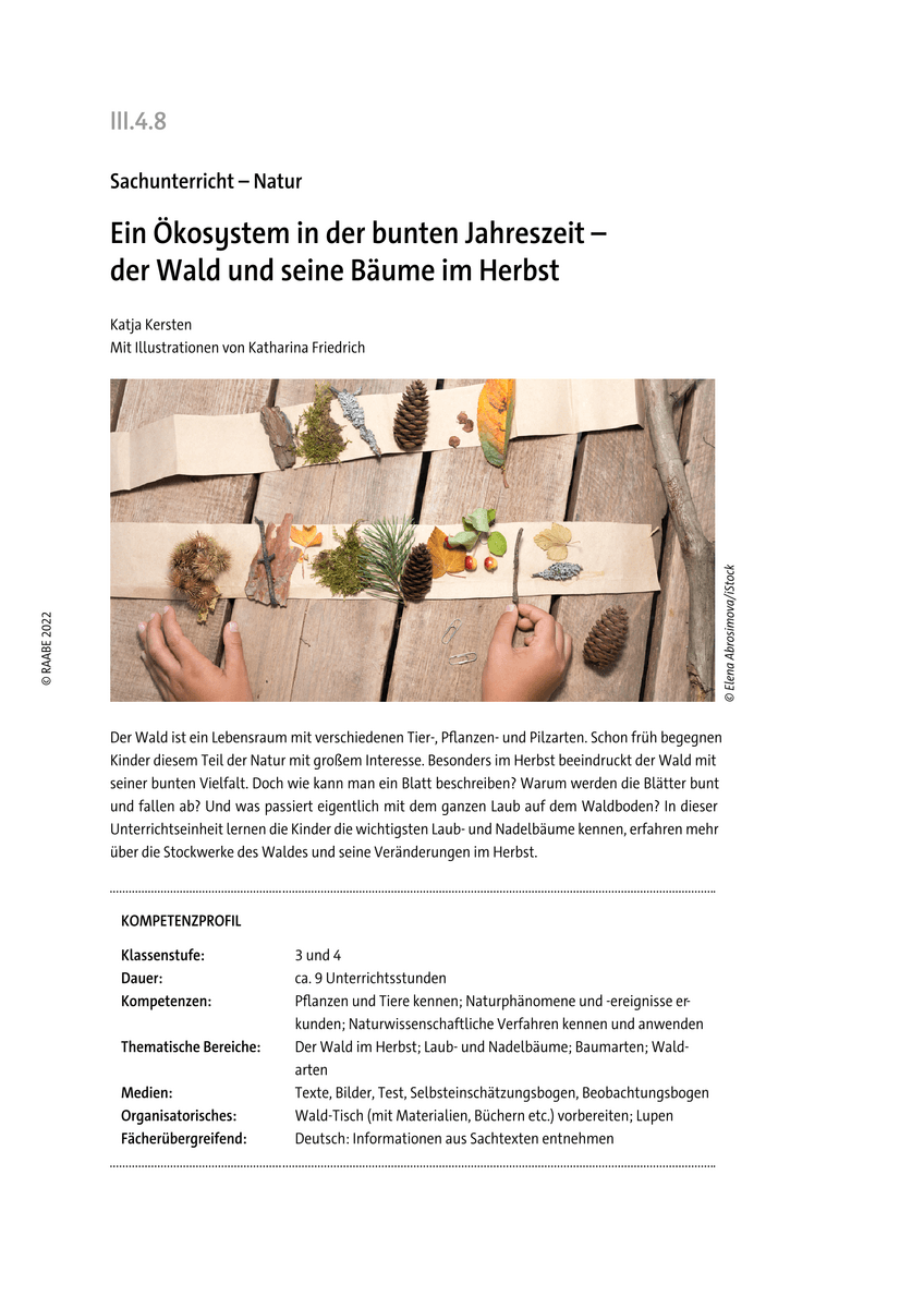 Ein Ökosystem in der bunten Jahreszeit