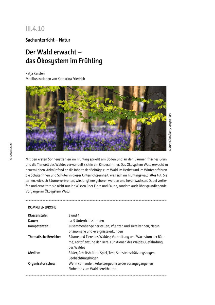 Der Wald erwacht