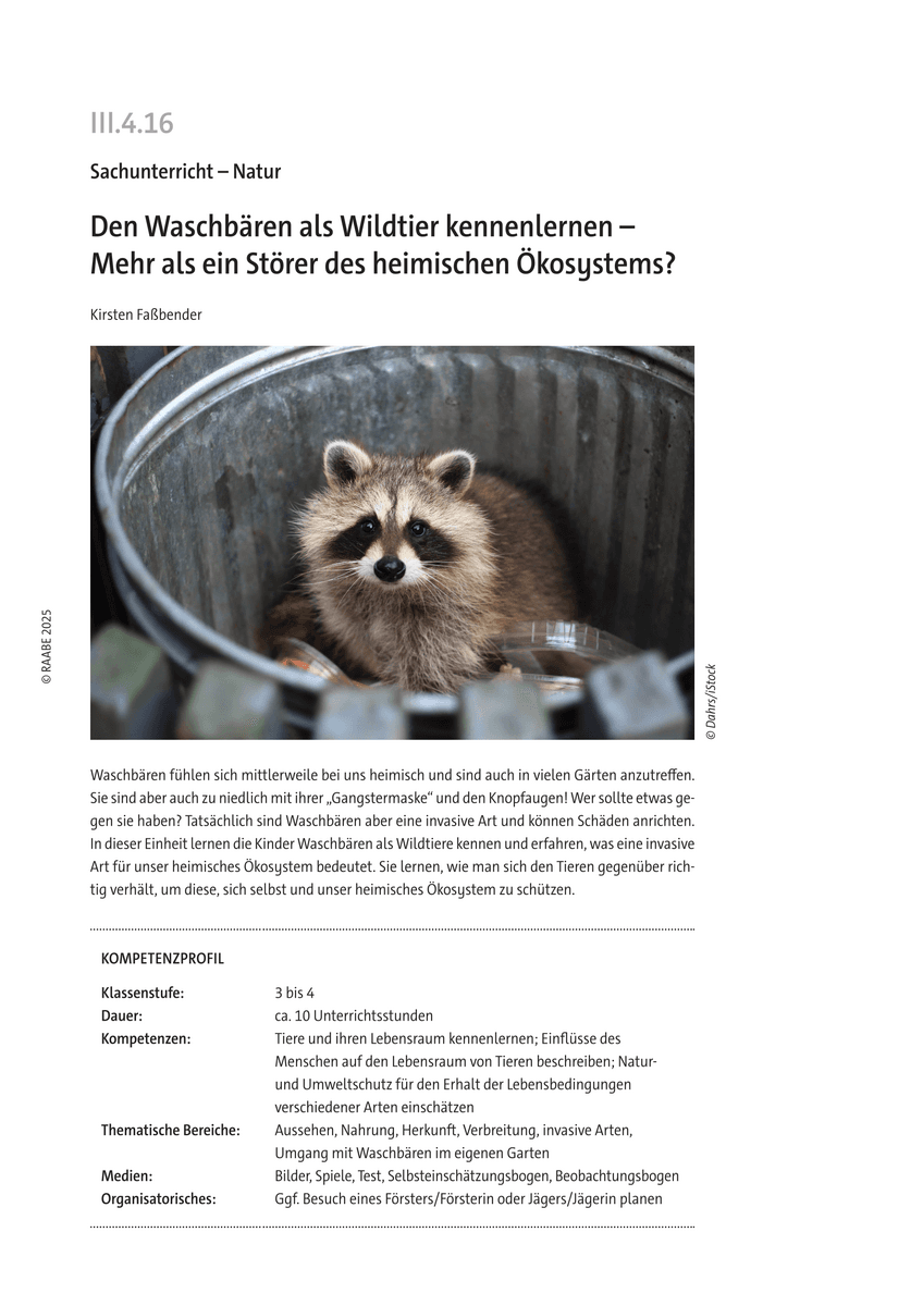 Den Waschbären als Wildtier kennenlernen