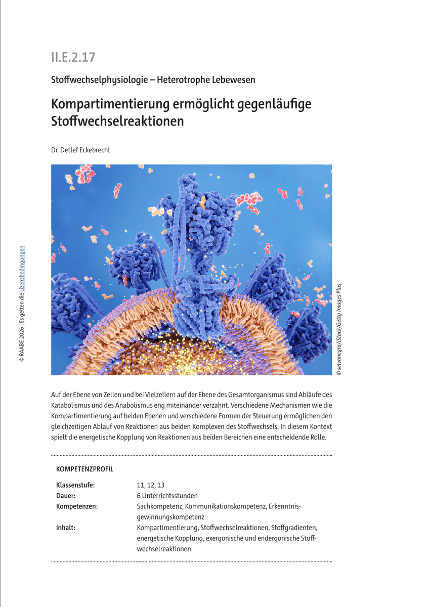 Kompartimentierung ermöglicht gegenläufige Stoffwechselreaktionen Kompartimentierung ermöglicht gegenläufige Stoffwechselreaktionen