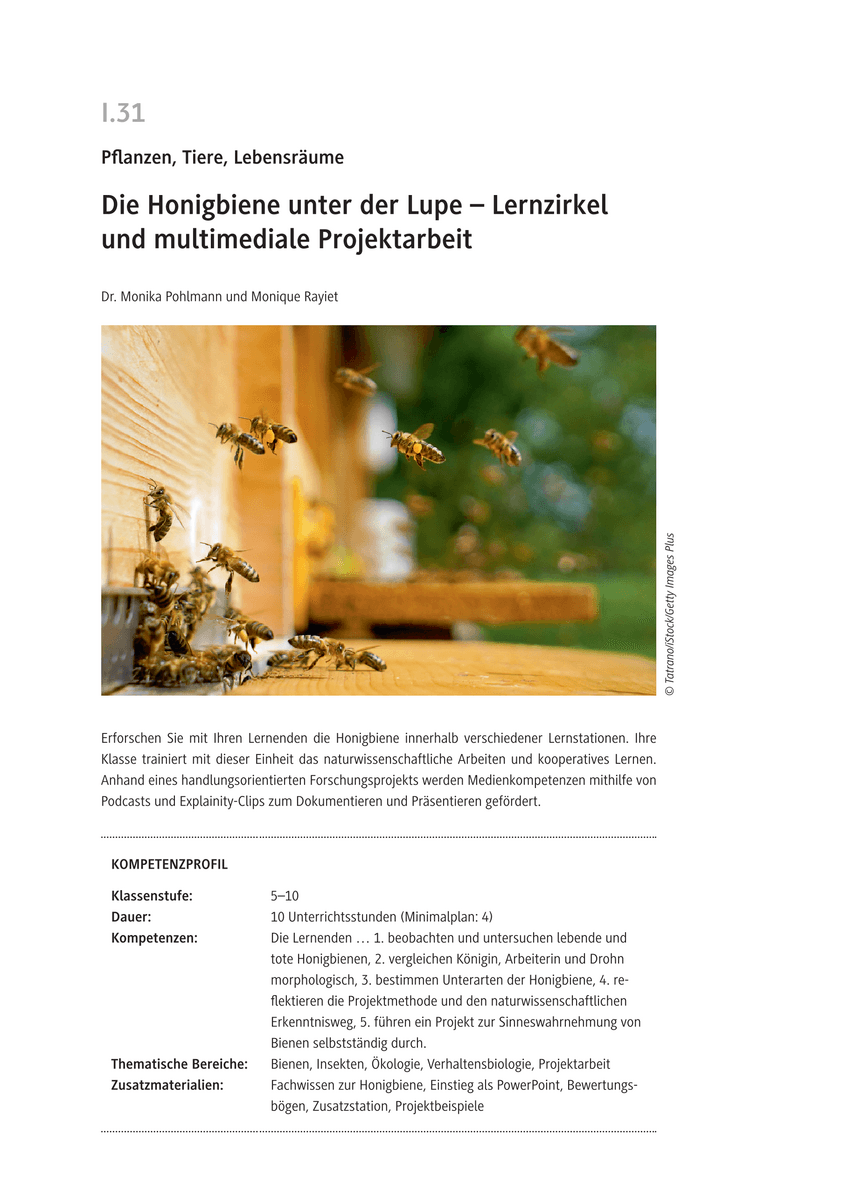 Die Honigbiene unter der Lupe Die Honigbiene unter der Lupe