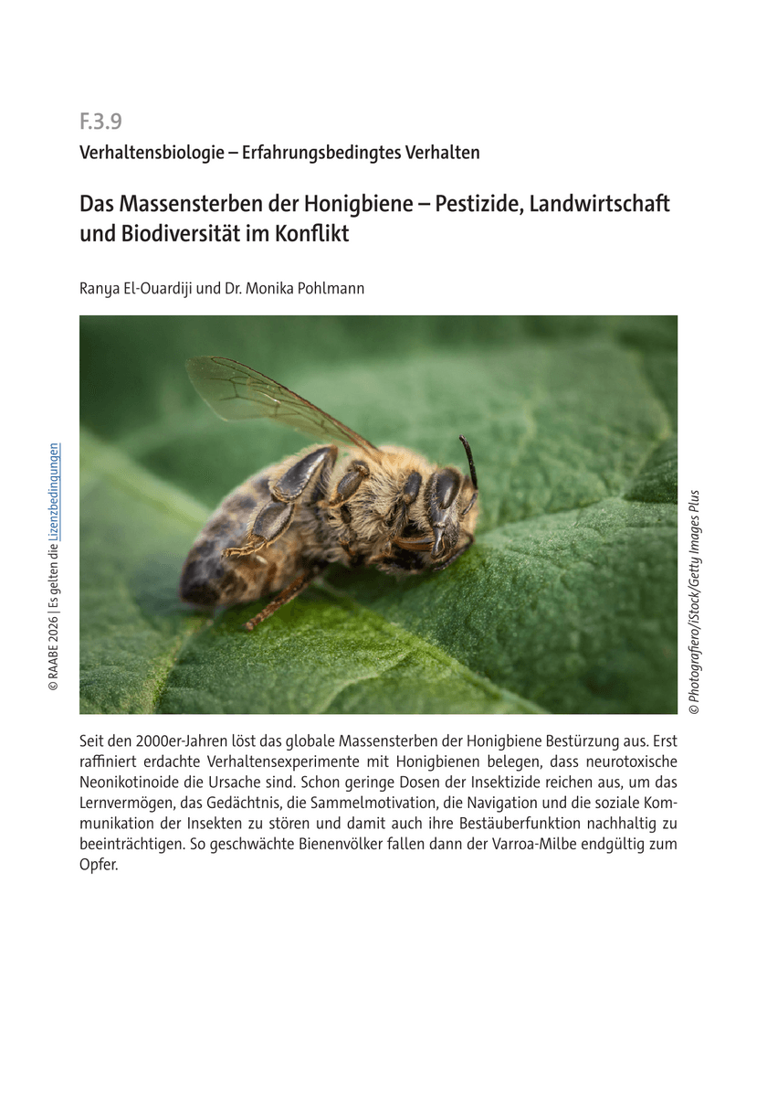 Das Massensterben der Honigbiene Das Massensterben der Honigbiene
