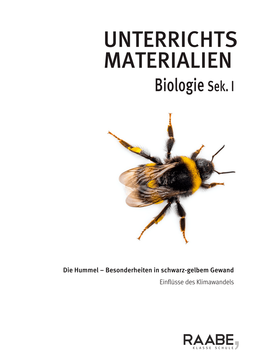 Die Hummel Die Hummel