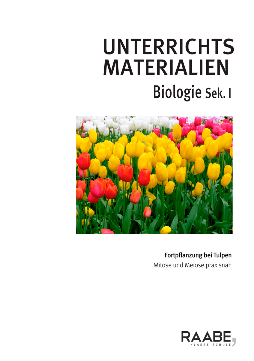 Fortpflanzung bei Tulpen Fortpflanzung bei Tulpen