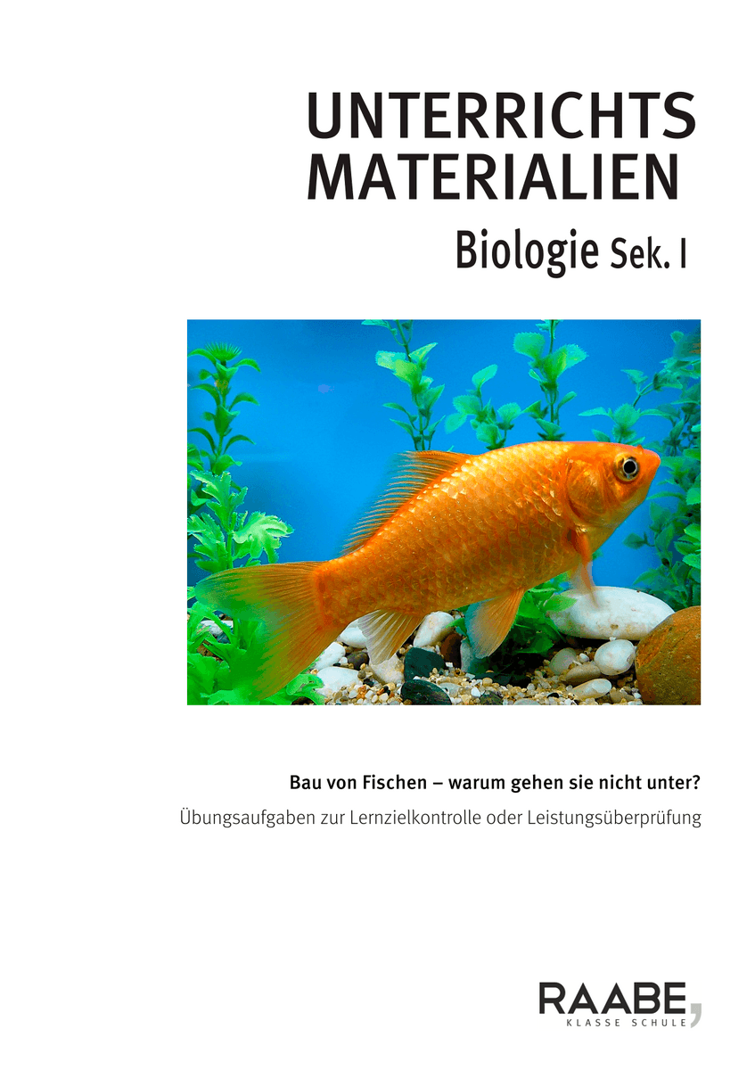 Bau von Fischen Bau von Fischen
