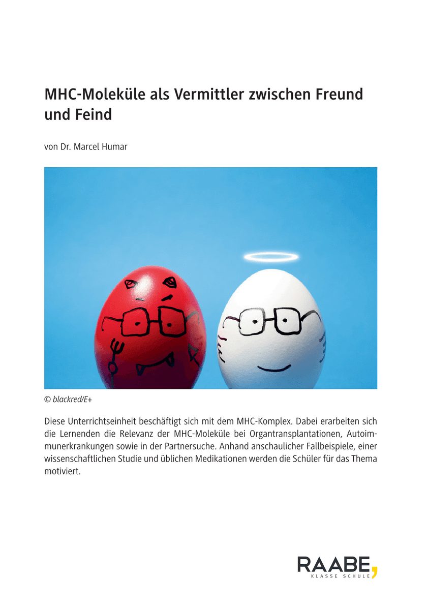 MHC-Moleküle als Vermittler zwischen Freund und Feind MHC-Moleküle als Vermittler zwischen Freund und Feind