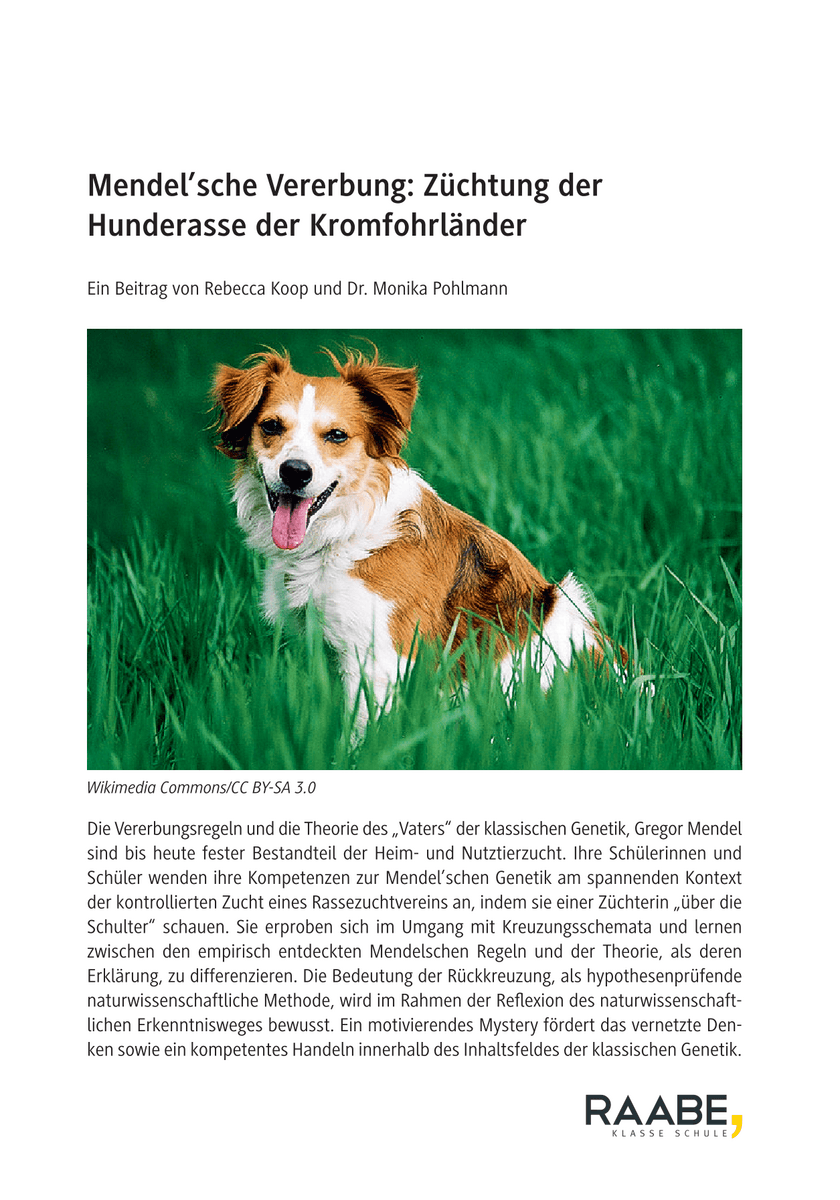 Mendel’sche Vererbung: Züchtung der Hunderasse der Kromfohrländer Mendel’sche Vererbung: Züchtung der Hunderasse der Kromfohrländer