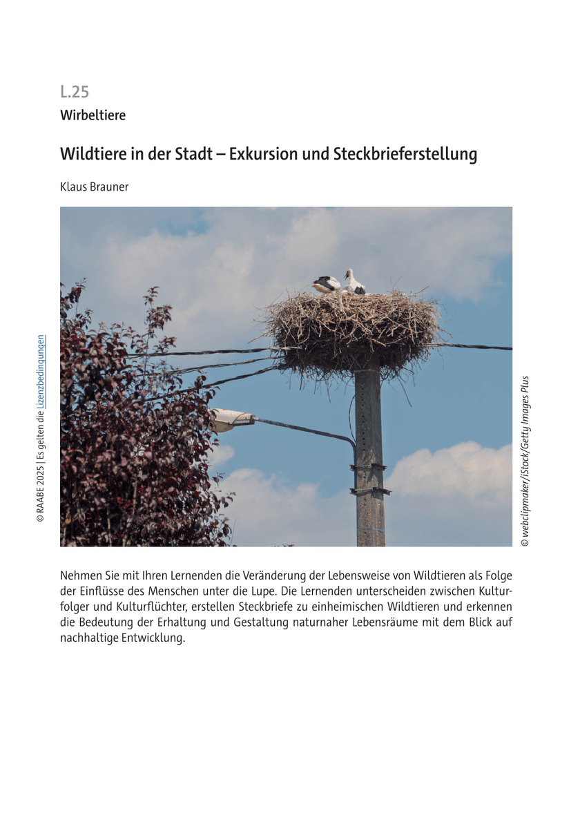 Wildtiere in der Stadt Wildtiere in der Stadt