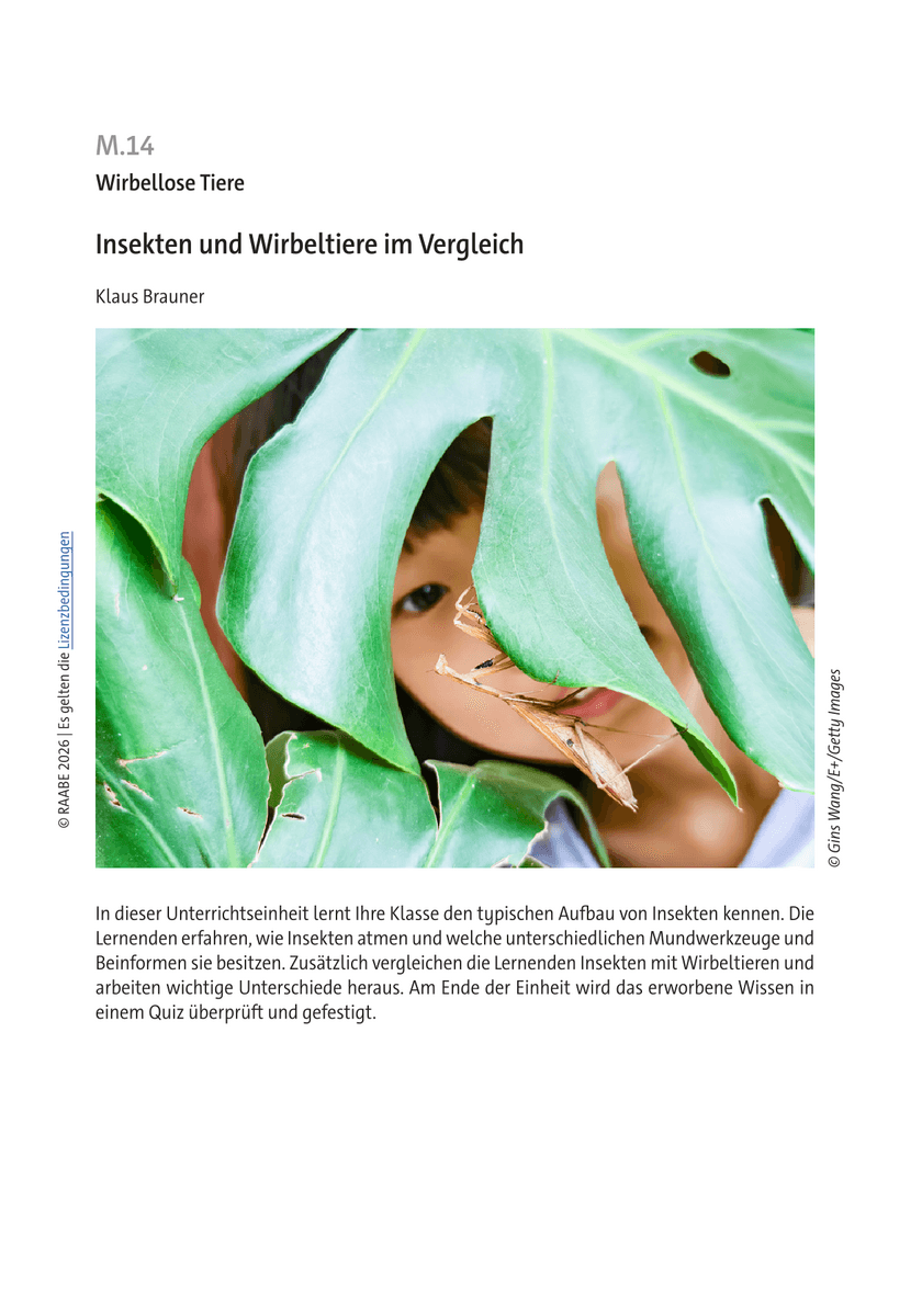 Insekten und Wirbeltiere im Vergleich Insekten und Wirbeltiere im Vergleich