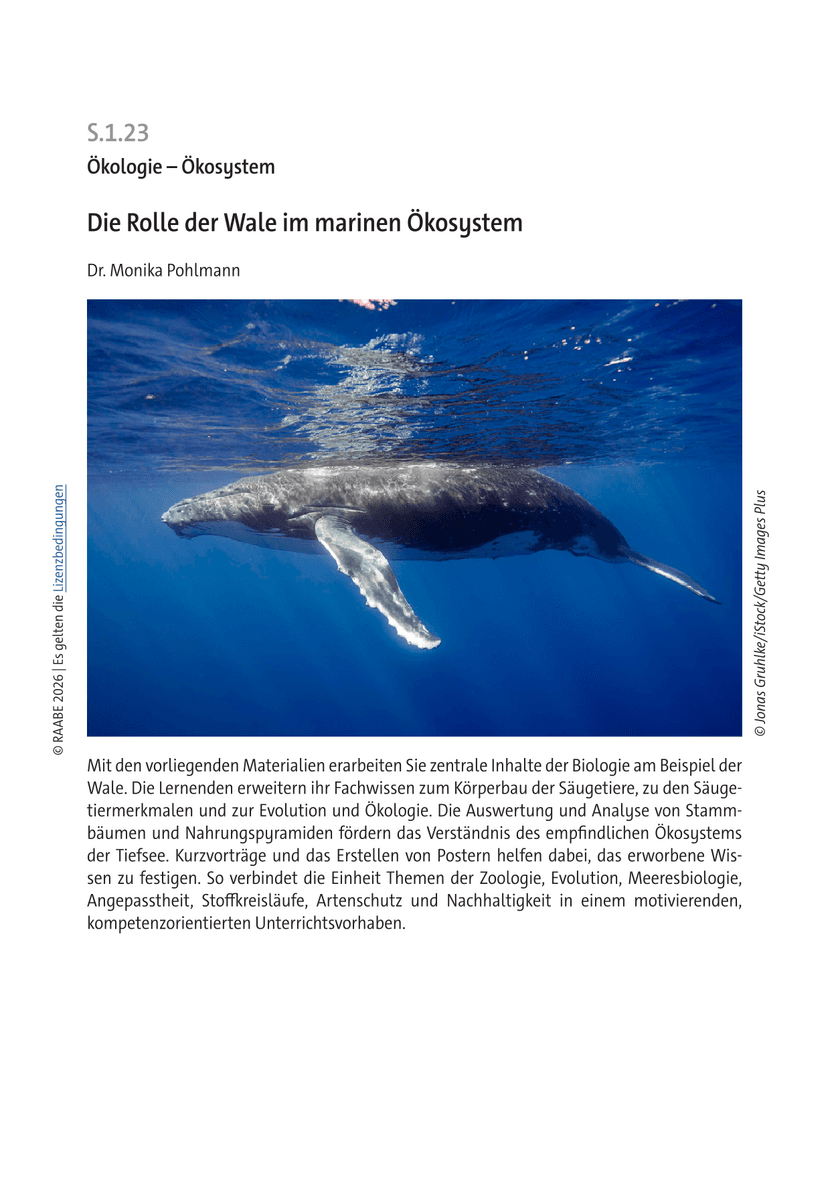 Die Rolle der Wale im marinen Ökosystem Die Rolle der Wale im marinen Ökosystem