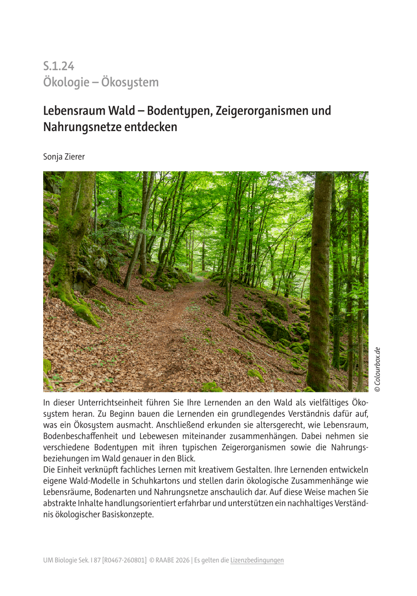 Lebensraum Wald Lebensraum Wald