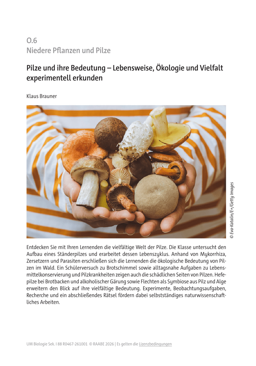Pilze und ihre Bedeutung Pilze und ihre Bedeutung