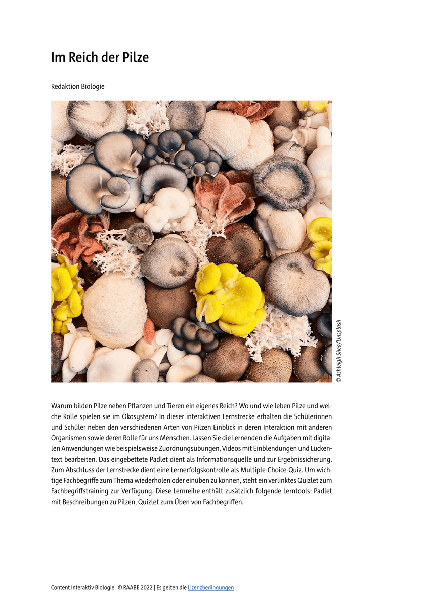 Lernen & Üben: Im Reich der Pilze Lernen & Üben: Im Reich der Pilze