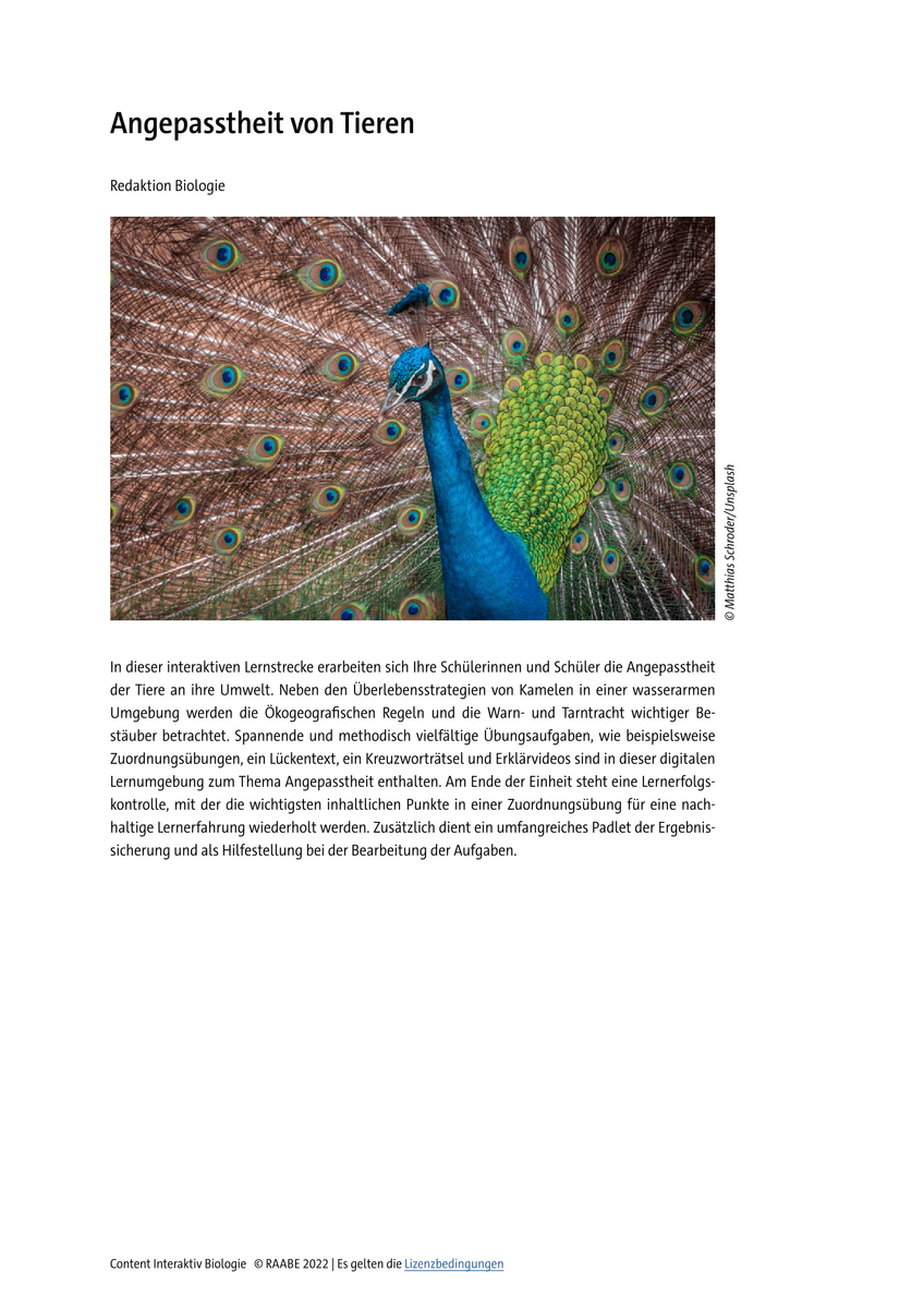 Lernen & Üben: Angepasstheit von Tieren Lernen & Üben: Angepasstheit von Tieren