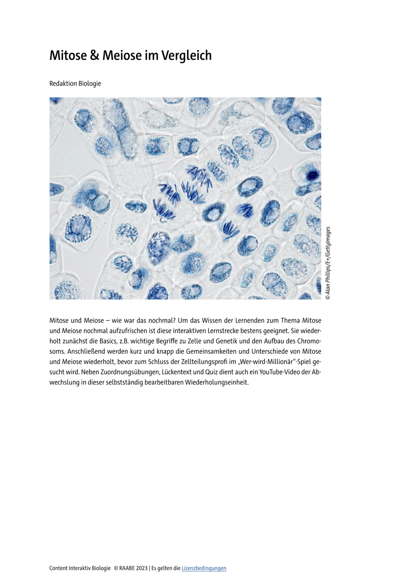 Mitose & Meiose im Vergleich Mitose & Meiose im Vergleich