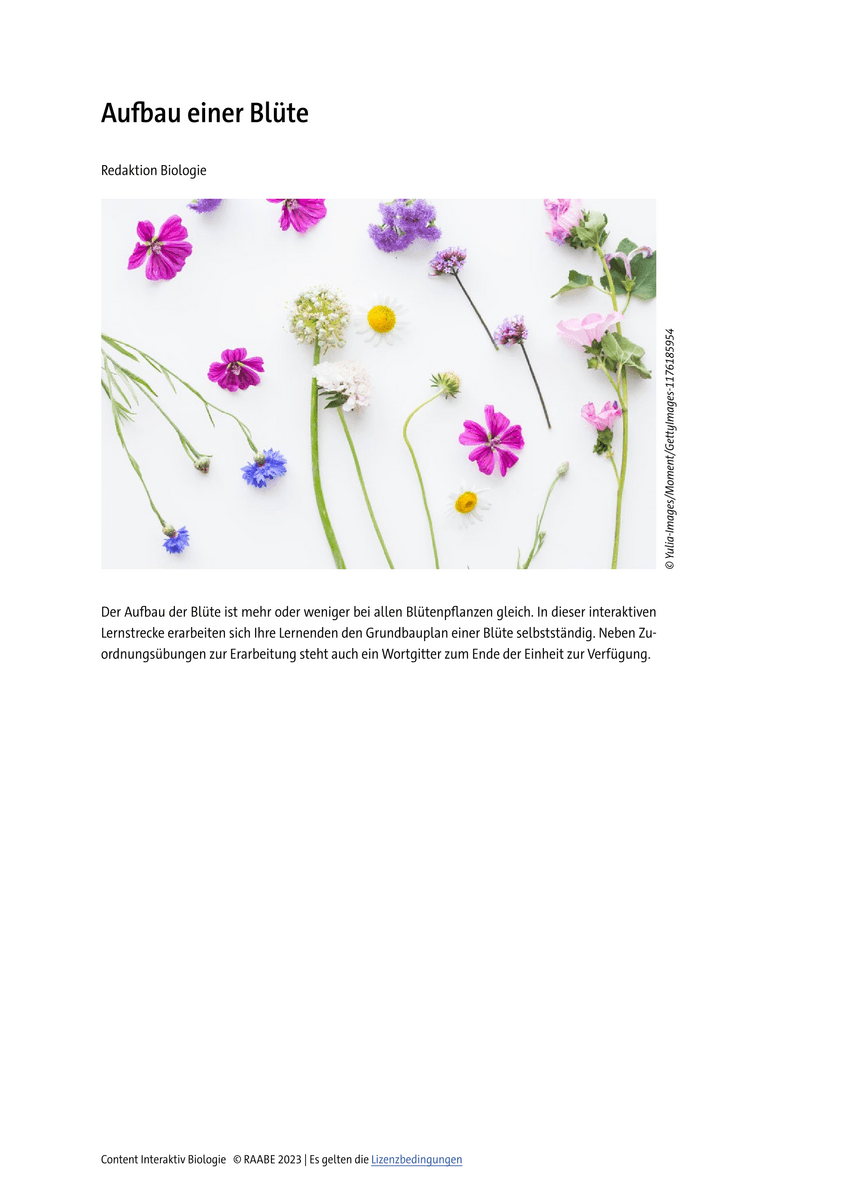 Lernen & Üben: Aufbau einer Blüte Lernen & Üben: Aufbau einer Blüte